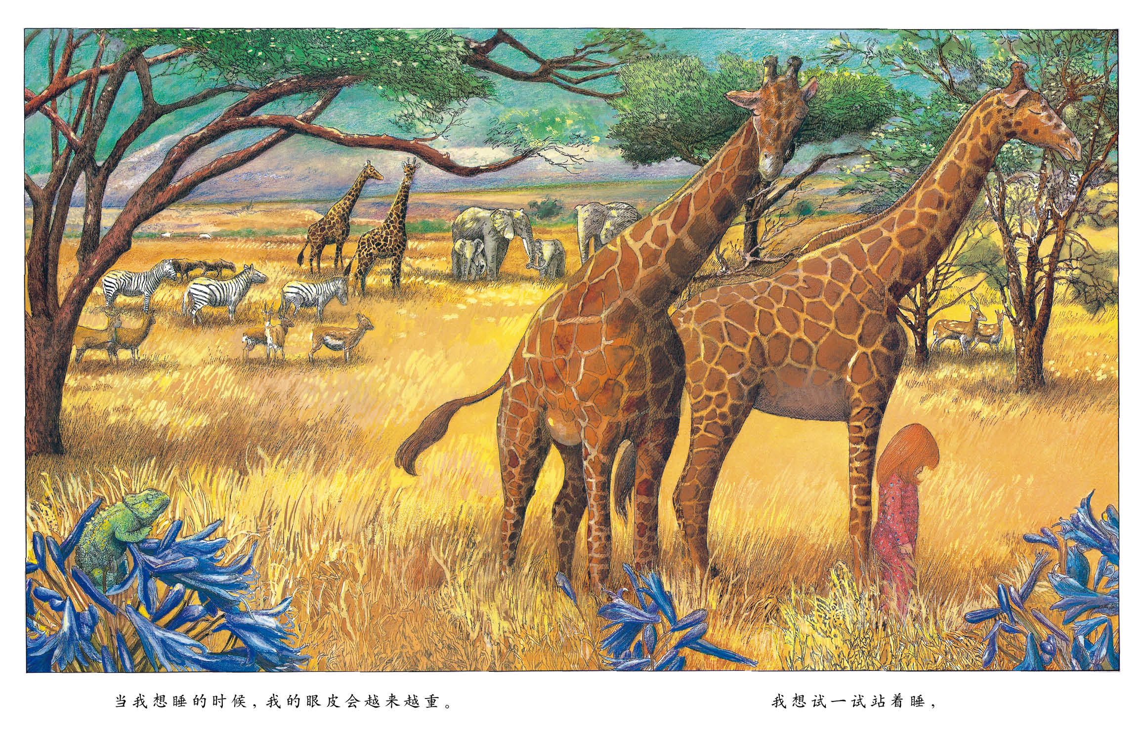 当我想睡的时候 (08),绘本,绘本故事,绘本阅读,故事书,童书,图画书,课外阅读